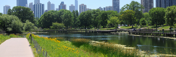 Naturalized shoreline at the Nature Boardwalk at Lincoln Park Zoo, a WRD Environmental project
