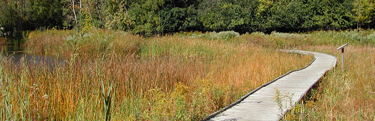 WRD builds bridges with sustainability partners to connect people with nature, like this boardwalk at North Park Village does.