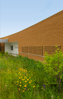 Part of the sustainable landscape at the facility, which is on track to be LEED certified