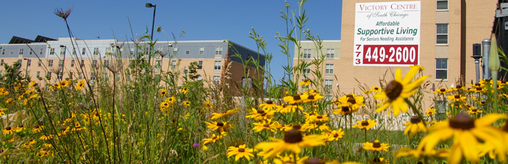 Victory Centre at South Chicago, a WRD Environmental project