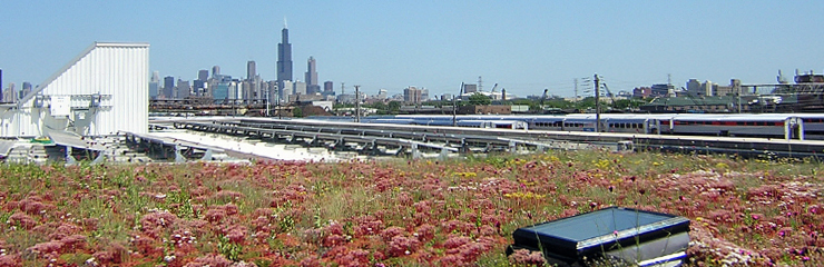 A view from the green roof of the Chicago Center for Green Technology, where WRD is headquartered