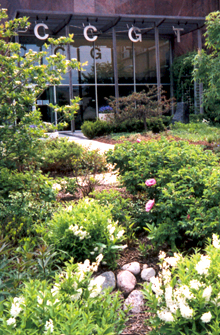 The sustainably driven landscape at the LEED Platinum facility