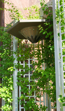 WRD created this solar-powered fountain that uses recycled rainwater at the Chicago Center for Green Technology.