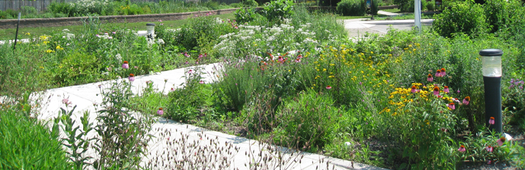 Part of the naturalistic entry to the Douglas-Hart Nature Center, a WRD Environmental project