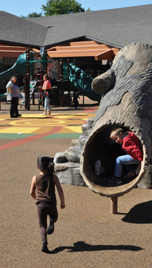 Children enjoy a slide resembling a hollow tree trunk at the Early Learning Center at Forest Elementary School.
