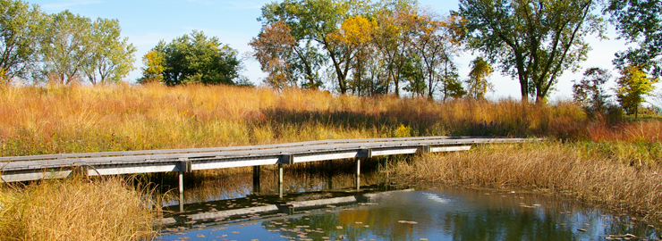 A boardwalk at the South Shore Bird Sanctuary, a WRD Environmental project