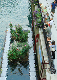 The Chicago River "Fish Hotel," connecting people to the river