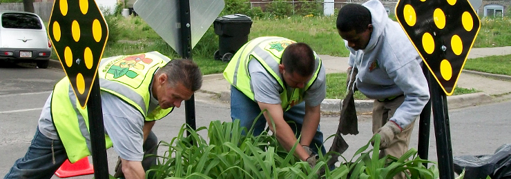 Trainees in Greencorps Chicago, a WRD Environmental project