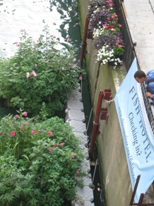 A man peers down at the Chicago River Fish Hotel from the street above. 