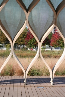 A view of the native plantings at Nature Boardwalk at Lincoln Park Zoo 