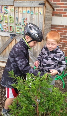 Students harvesting blueberries in the edible garden