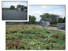 A before-and-after photo simulation of a green roof