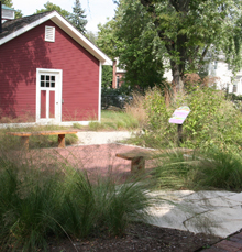 One of eight rain gardens at Naper Settlement