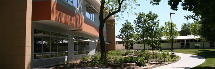The Reading Garden at St. Francis High School, a WRD Environmental project