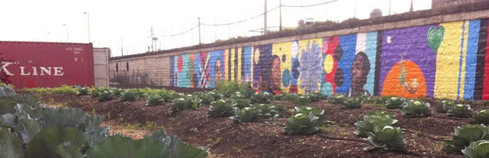 Chicago Farmworks Urban Farm, a WRD Environmental project