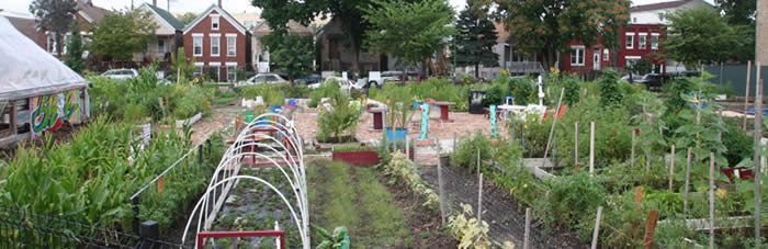 Semillas de Justicia Community Garden, a WRD Environmental project